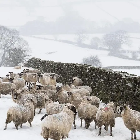 Casa de Férias Broomfield Nr - Dogs For Free