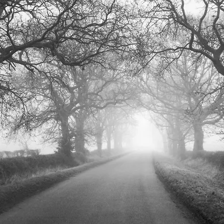 Broomfield Nr - Dogs For Free Casa de Férias *