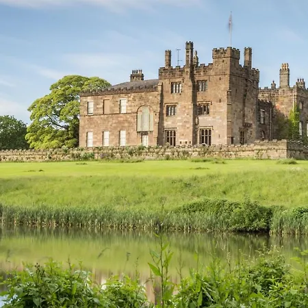 Broomfield Nr - Dogs For Free *