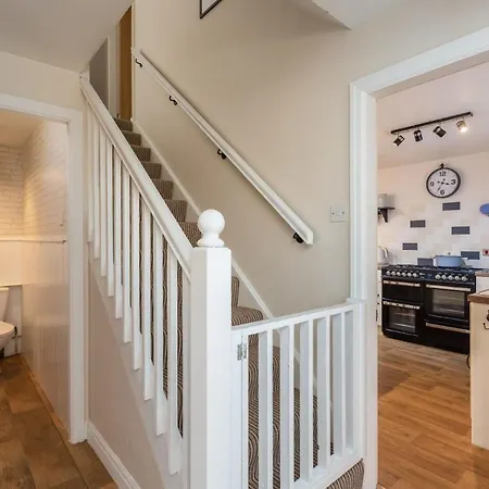 Broomfield Nr - Dogs For Free * Pickering