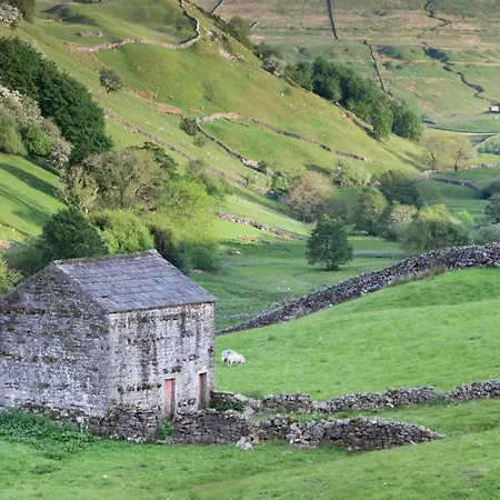 Broomfield Nr - Dogs For Free *